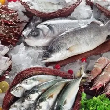 أسعار السمك اليوم الإثنين 6 أبريل 2026 مع قرب عيد شم النسيم